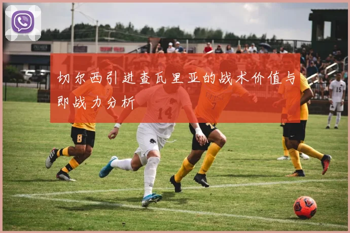 切尔西引进查瓦里亚的战术价值与即战力分析